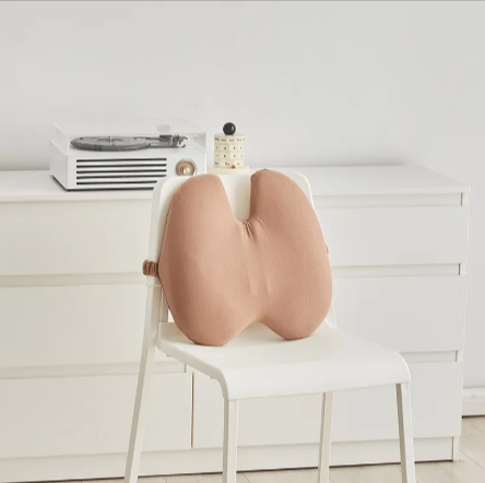 Aligneer Axiom | Memory Foam Lumbar Support System