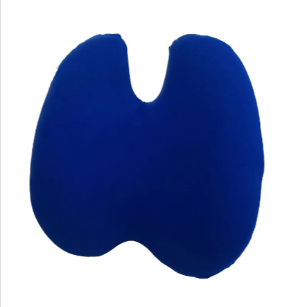 Aligneer Axiom | Memory Foam Lumbar Support System