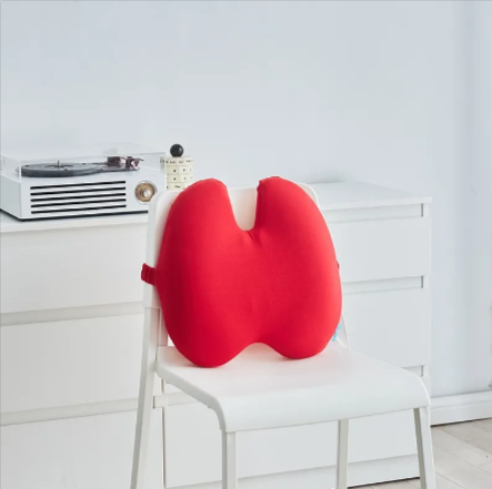Aligneer Axiom | Memory Foam Lumbar Support System