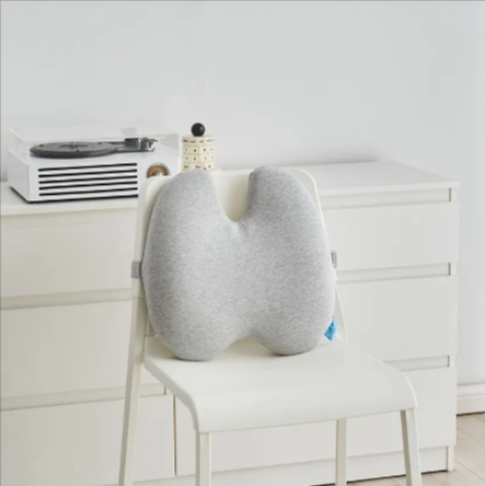 Aligneer Axiom | Memory Foam Lumbar Support System