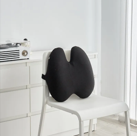 Aligneer Axiom | Memory Foam Lumbar Support System