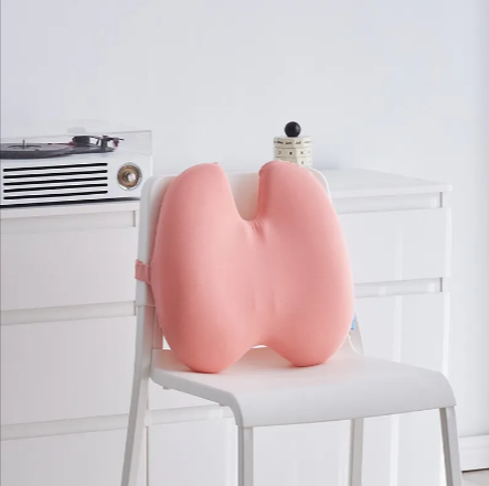 Aligneer Axiom | Memory Foam Lumbar Support System