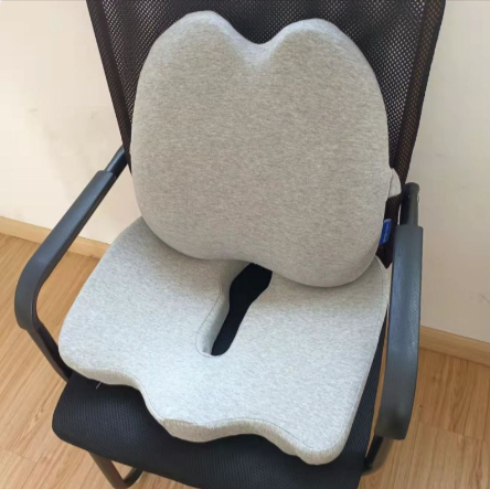 Aligneer Axiom | Memory Foam Lumbar Support System