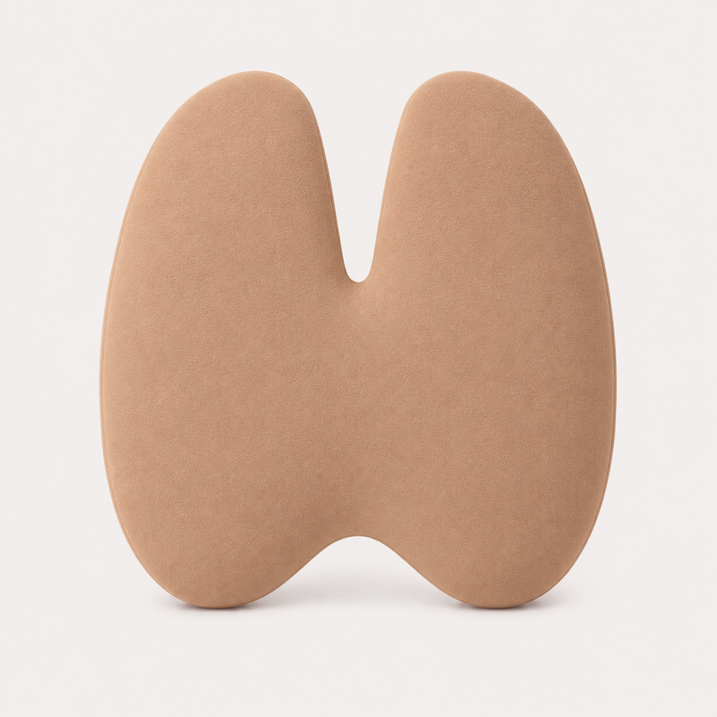 Aligneer Axiom Set | Memory Foam Lumbar Support for Everyday Chairs