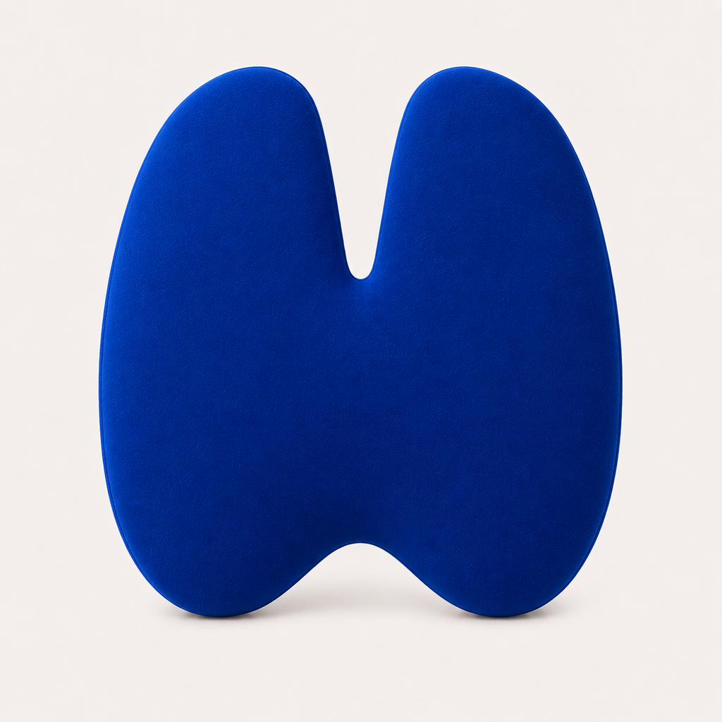 Aligneer Axiom Set | Memory Foam Lumbar Support for Everyday Chairs