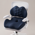 Aligneer Axiom Pro | Memory Foam Seat Support System